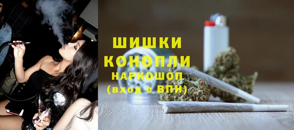 ГАЛЛЮЦИНОГЕННЫЕ ГРИБЫ Арсеньев