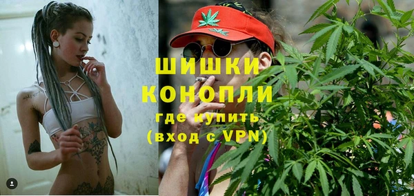 гидра Аркадак