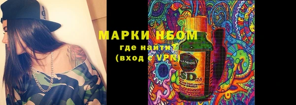 индика Покачи
