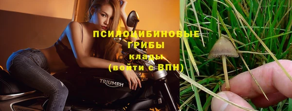 сатива Покровск